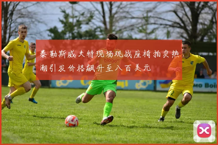 泰勒斯威夫特现场观战座椅拍卖热潮引发价格飙升至八百美元