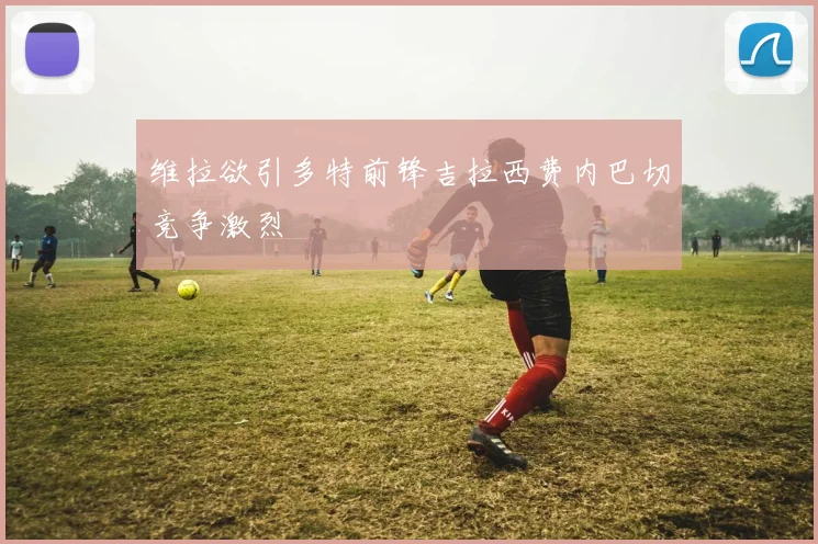 维拉欲引多特前锋吉拉西费内巴切竞争激烈
