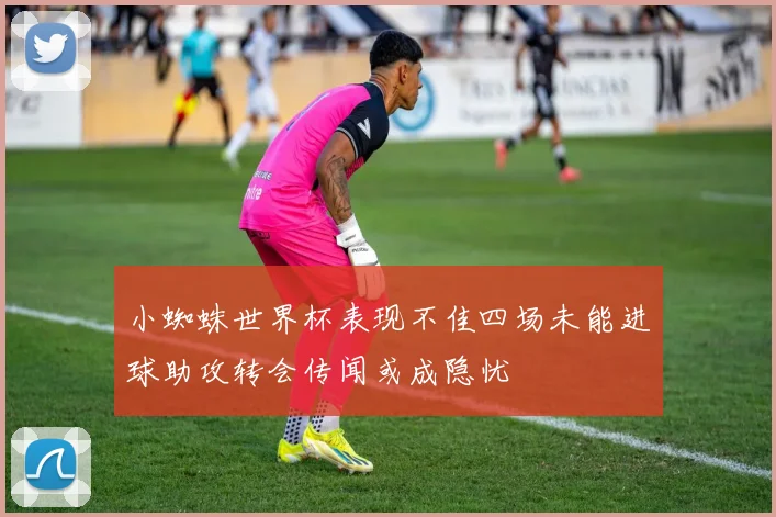小蜘蛛世界杯表现不佳四场未能进球助攻转会传闻或成隐忧